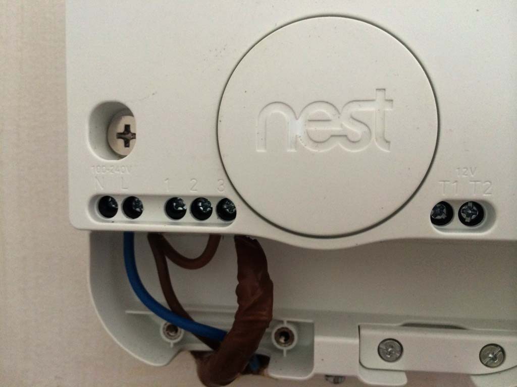 Nest-10