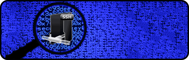 Raspberry Pi : Authentification SSH par certificat